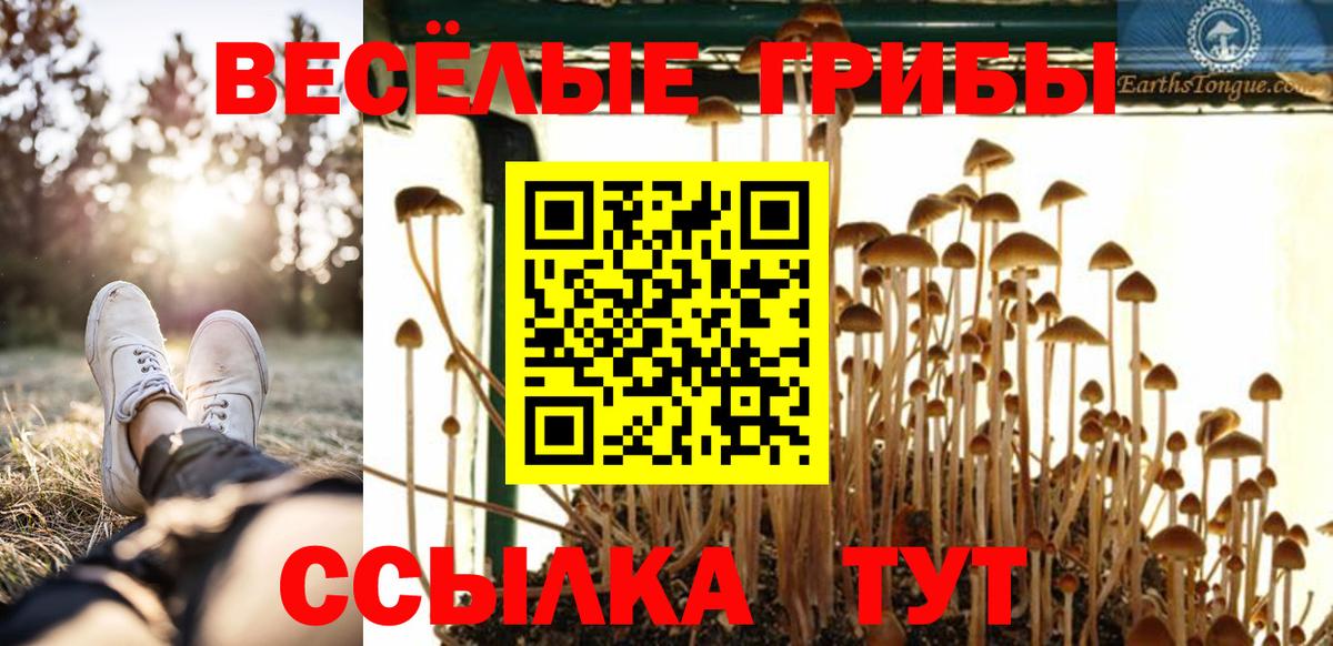 Псилоцибиновые грибы Magic Shrooms Малгобек
