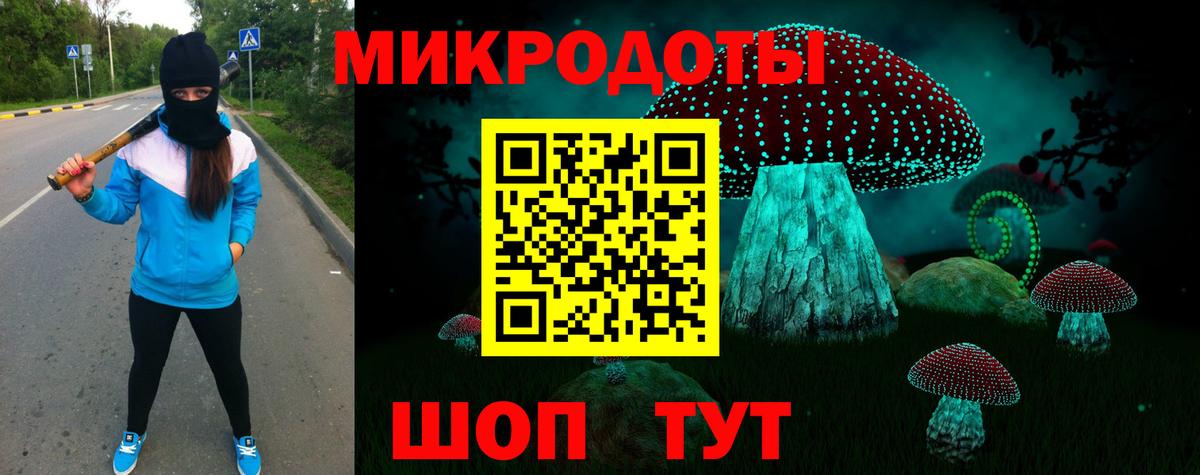 Малгобек  цена наркотик  Вход с VPN  Псилоцибиновые грибы Cubensis 